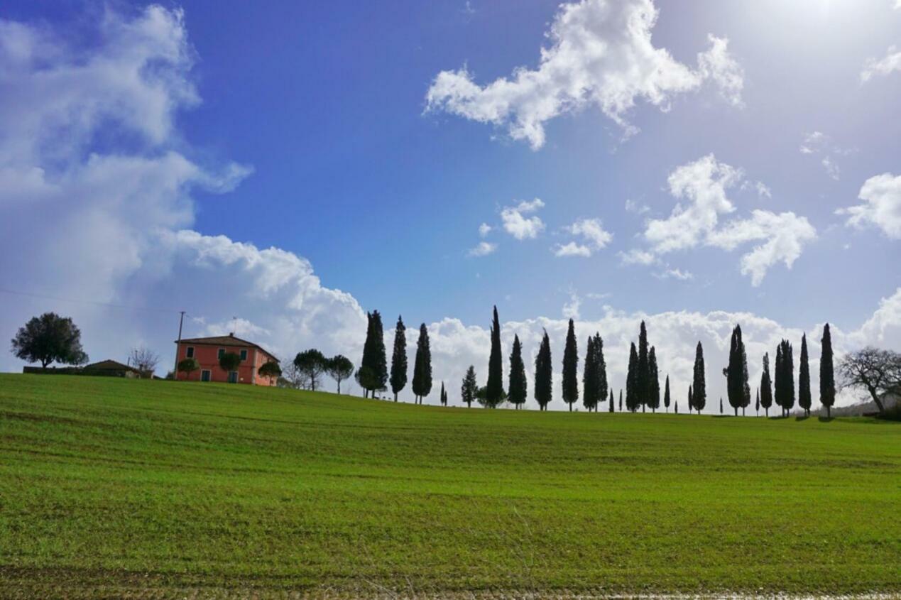 Casa Dante Lägenhet Vivo dʼOrcia Exteriör bild