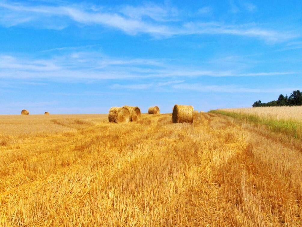 Casa Dante Lägenhet Vivo dʼOrcia Exteriör bild