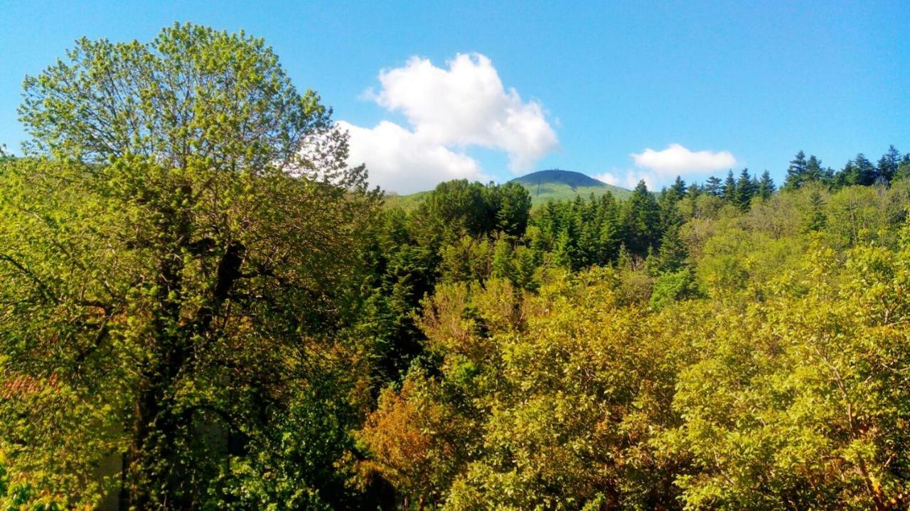 Casa Dante Lägenhet Vivo dʼOrcia Exteriör bild